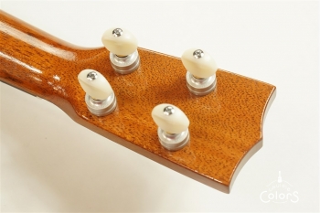 ECO-S - Spruce Top / Rosewood Side&Back